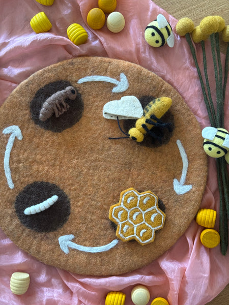 Life Cycle of Honey Bees Small World Play ELC Pack