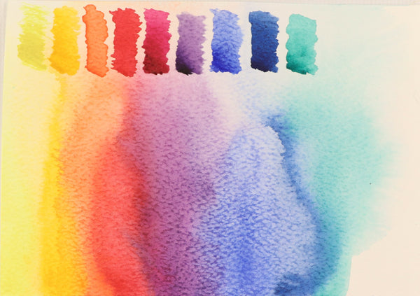 Apiscor Watercolour Paint 9 Colours