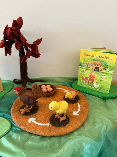 Life Cycle of The Chook World Play ELC Pack