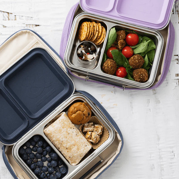 Seed & Sprout Bento Leakproof Lunch Box-Indigo
