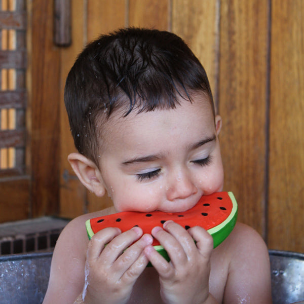 Oli & Carol Wally the Watermelon