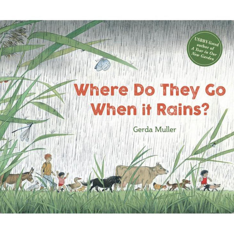 Where Do They Go When it Rains?