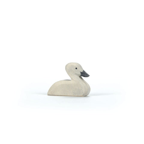 Ostheimer Swan Little 2025