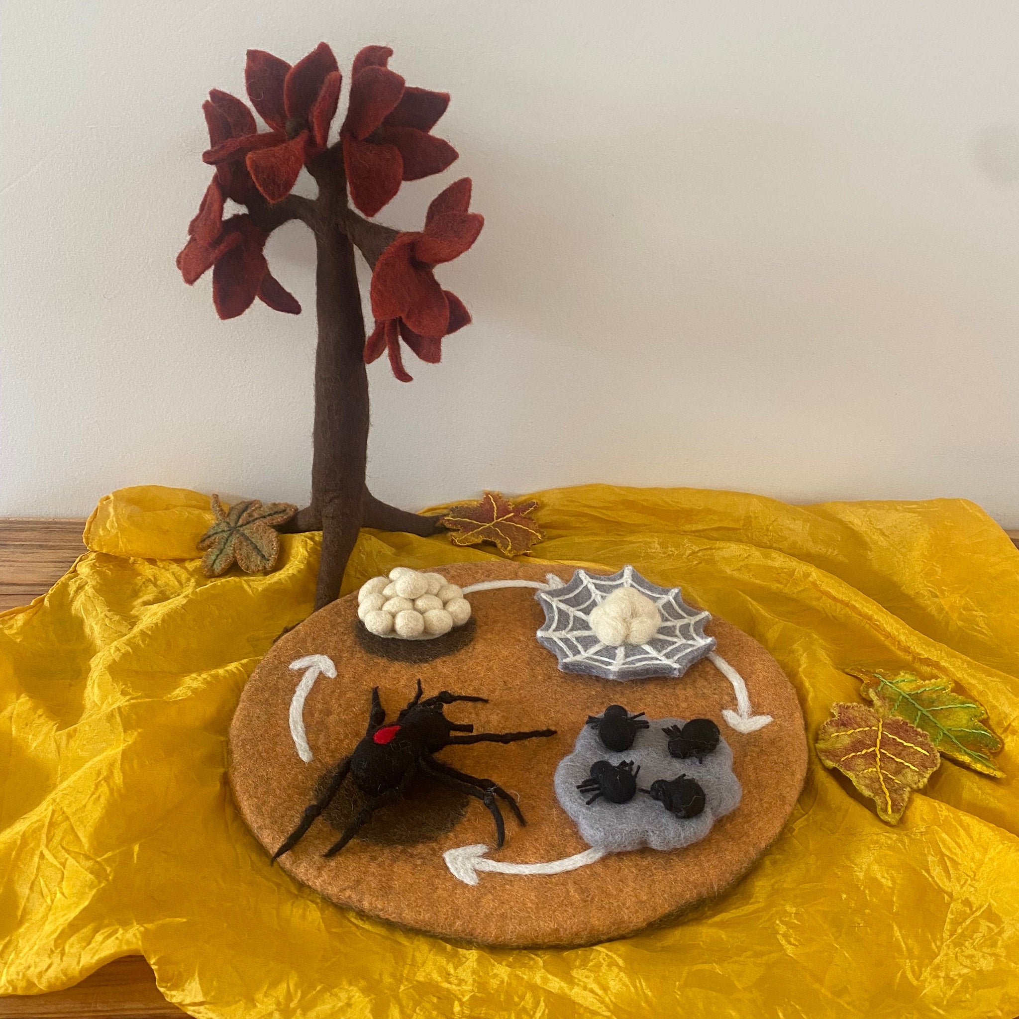 Life Cycle of The Red Back Spider Small World Play ELC Pack