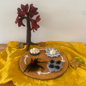 Life Cycle of The Red Back Spider Small World Play ELC Pack