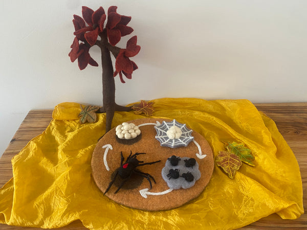 Life Cycle of The Red Back Spider Small World Play ELC Pack