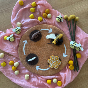 Life Cycle of Honey Bees Small World Play ELC Pack