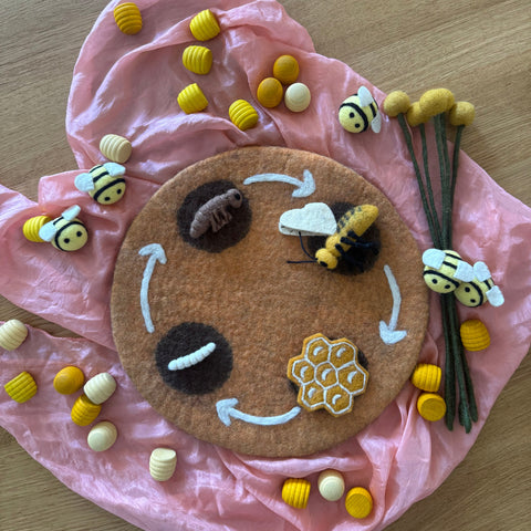 Life Cycle of Honey Bees Small World Play ELC Pack