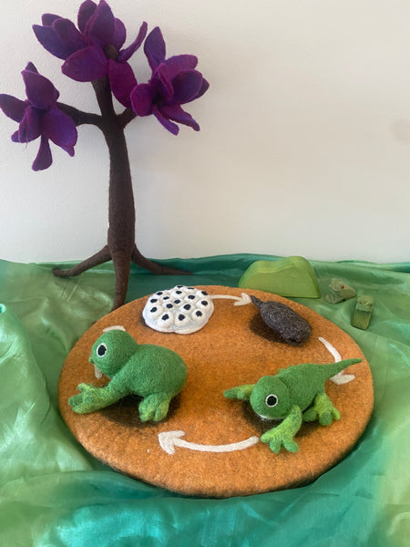 Life Cycle of The Frogs Small World Play ELC Pack