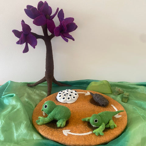 Life Cycle of The Frogs Small World Play ELC Pack