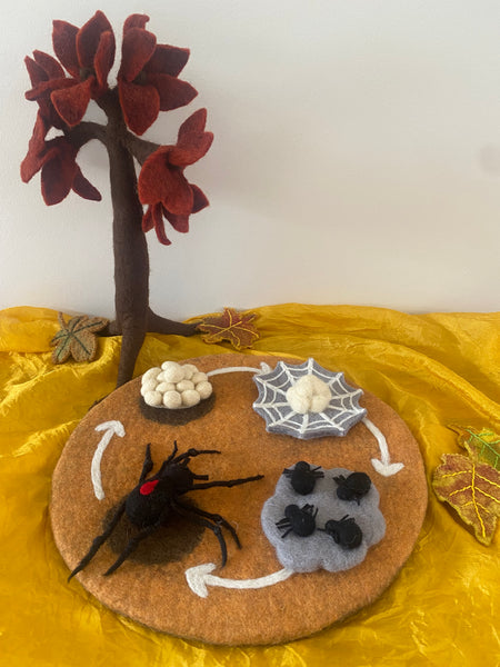 Life Cycle of The Red Back Spider Small World Play ELC Pack