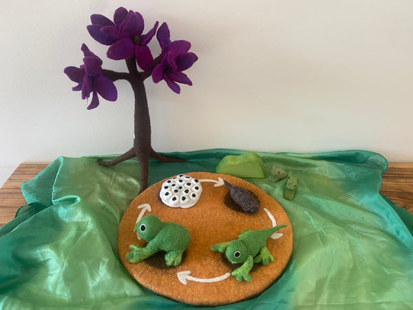 Life Cycle of The Frogs Small World Play ELC Pack