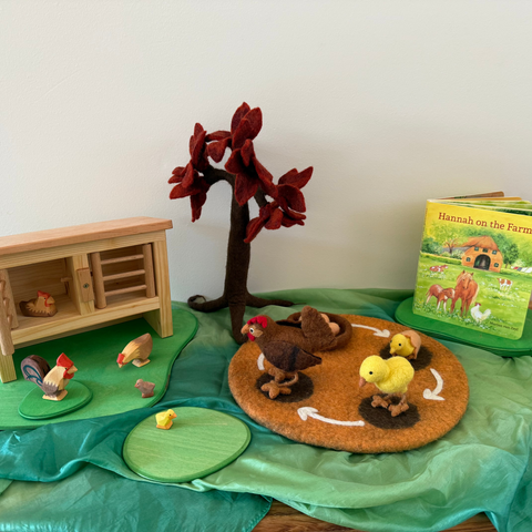 Life Cycle of The Chook World Play ELC Pack