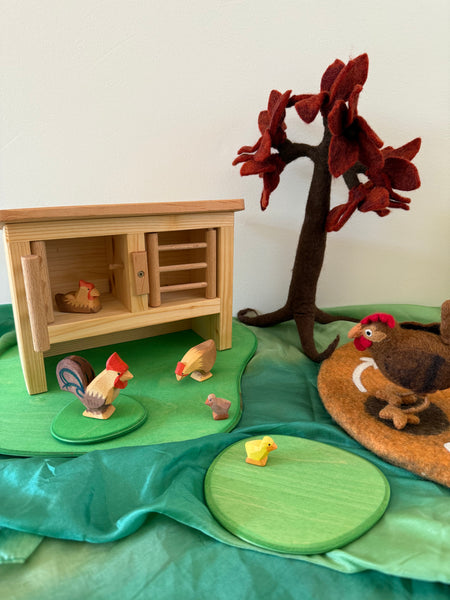 Life Cycle of The Chook World Play ELC Pack