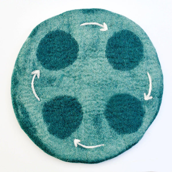 Felt Life Cycle Water Mat