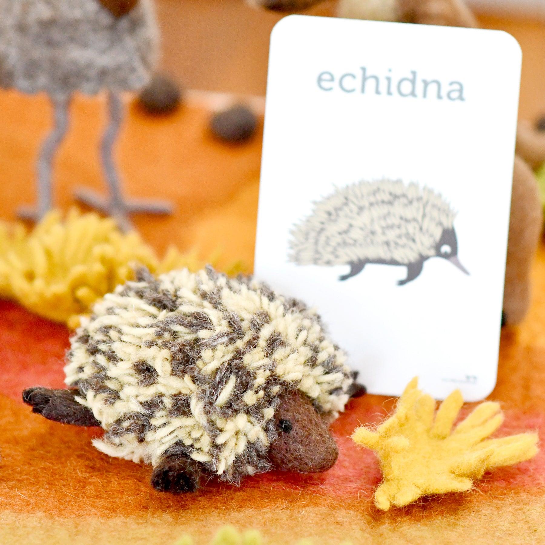 Felt Echidna