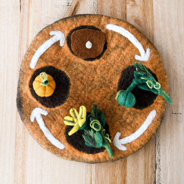 Felt Life Cycle Pumpkin