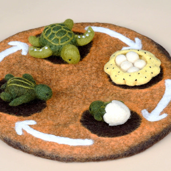 Felt Life Cycle Green Sea Turtle