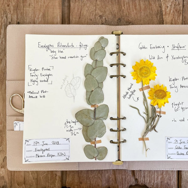 Flora Herbarium Journal - Capture Flowers, Plants & Leaves to Treasure