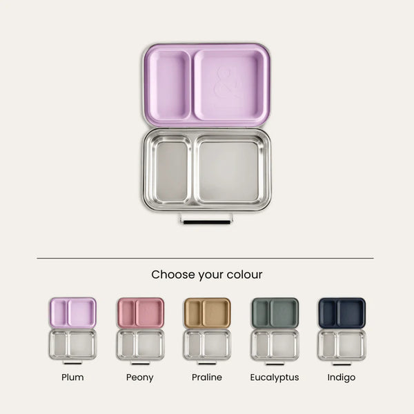 Seed & Sprout Bento Leakproof Lunch Box