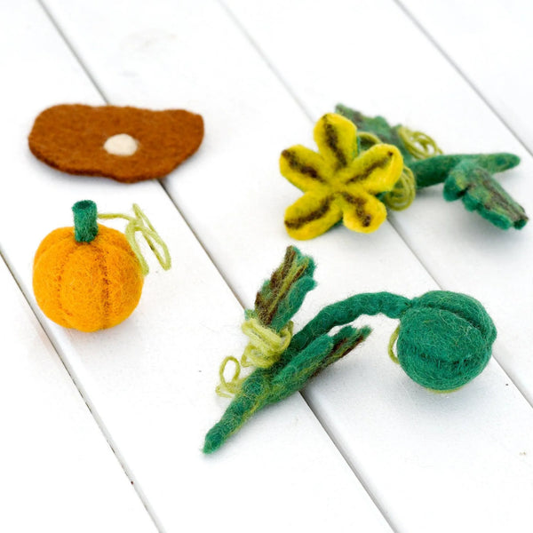 Felt Life Cycle Pumpkin