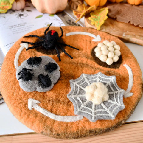 Felt Life Cycle Redback Spider
